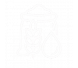 Commodity Trade